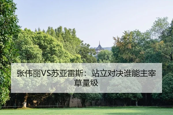 张伟丽VS苏亚雷斯：站立对决谁能主宰草量级